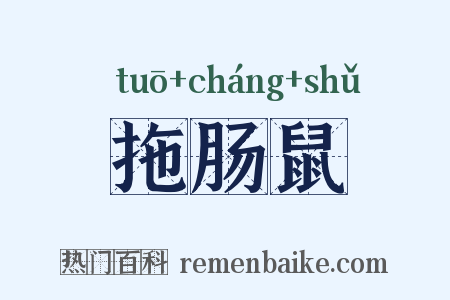 拖肠鼠是什么意思的图片